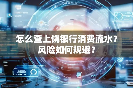 怎么查上饶银行消费流水?风险如何规避?