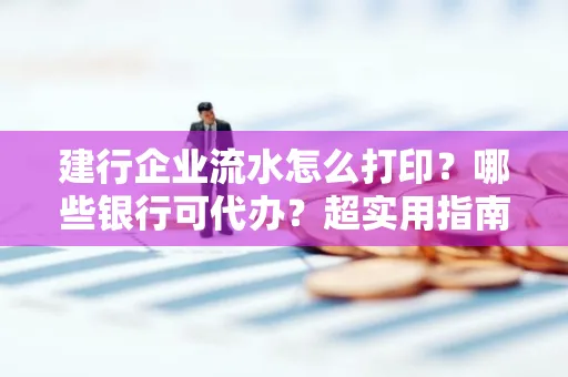 建行企业流水怎么打印?哪些银行可代办?超实用指南来了!