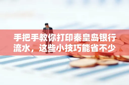 手把手教你打印秦皇岛银行流水,这些小技巧能省不少事