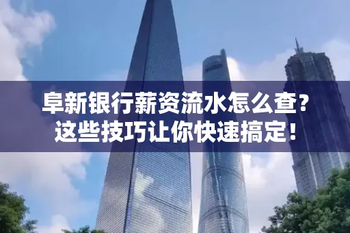 阜新银行薪资流水怎么查?这些技巧让你快速搞定! 阜新银行薪资流水怎么查?这些技巧让你快速搞定!