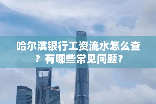 哈尔滨银行工资流水怎么查?有哪些常见问题?
