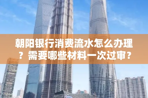 朝阳银行消费流水怎么办理?需要哪些材料一次过审?