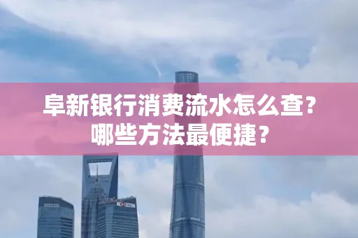 阜新银行消费流水怎么查?哪些方法最便捷?