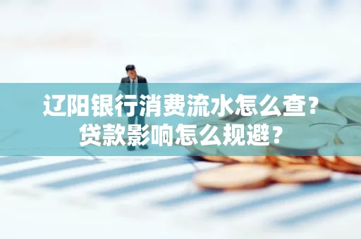 辽阳银行消费流水怎么查?贷款影响怎么规避?