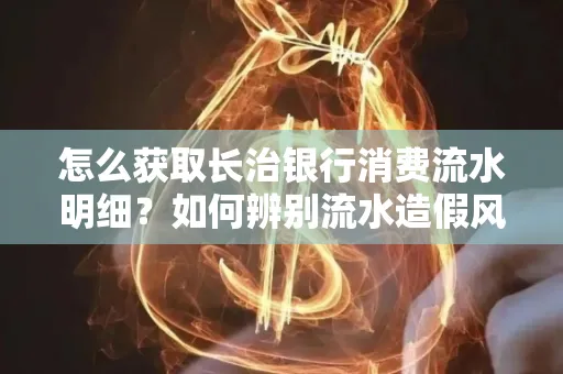 怎么获取长治银行消费流水明细?如何辨别流水造假风险?