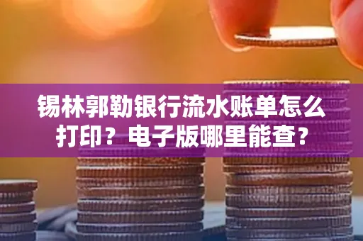 锡林郭勒银行流水账单怎么打印?电子版哪里能查?