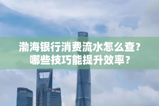 渤海银行消费流水怎么查？哪些技巧能提升效率？