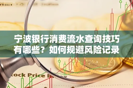 宁波银行消费流水查询技巧有哪些？如何规避风险记录？