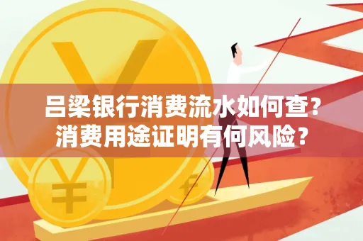 吕梁银行消费流水如何查？消费用途证明有何风险？