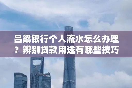 吕梁银行个人流水怎么办理？辨别贷款用途有哪些技巧？