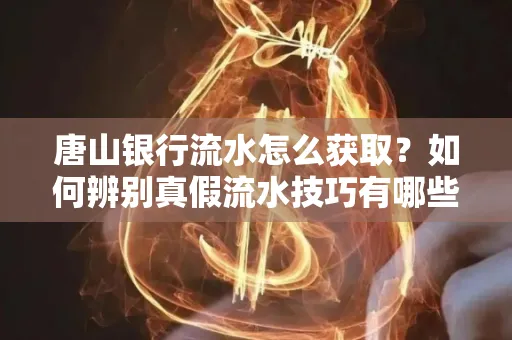 唐山银行流水怎么获取？如何辨别真假流水技巧有哪些？
