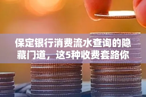 保定银行消费流水查询的隐藏门道,这5种收费套路你知道几个?