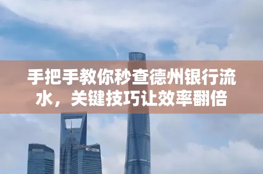 手把手教你秒查德州银行流水,关键技巧让效率翻倍