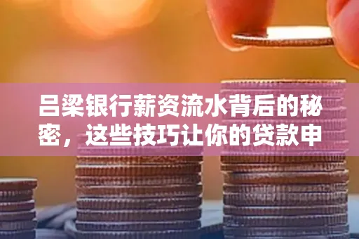 吕梁银行薪资流水背后的秘密,这些技巧让你的贷款申请快人一步