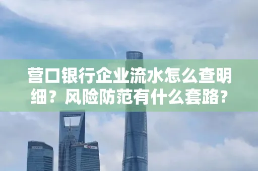 营口银行企业流水怎么查明细?风险防范有什么套路?
