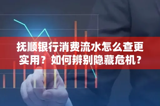 抚顺银行消费流水怎么查更实用?如何辨别隐藏危机?