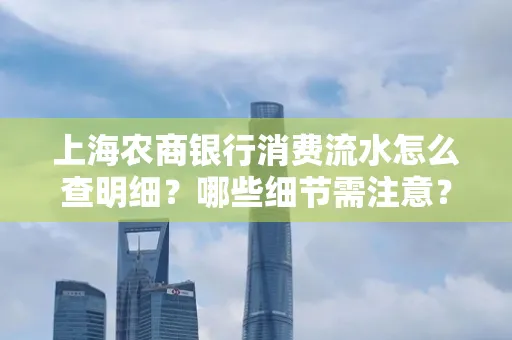 上海农商银行消费流水怎么查明细?哪些细节需注意?
