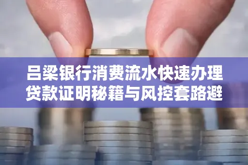 吕梁银行消费流水快速办理贷款证明秘籍与风控套路避坑指南