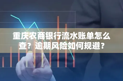 重庆农商银行流水账单怎么查?逾期风险如何规避?
