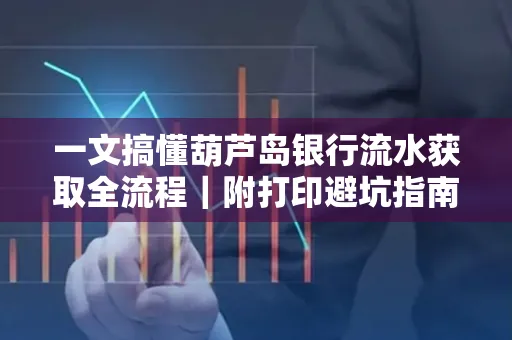 一文搞懂葫芦岛银行流水获取全流程|附打印避坑指南