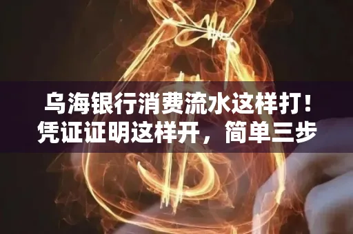 乌海银行消费流水这样打!凭证证明这样开,简单三步轻松搞定