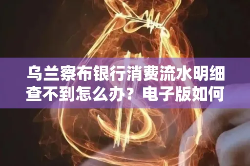 乌兰察布银行消费流水明细查不到怎么办?电子版如何获取攻克技巧?