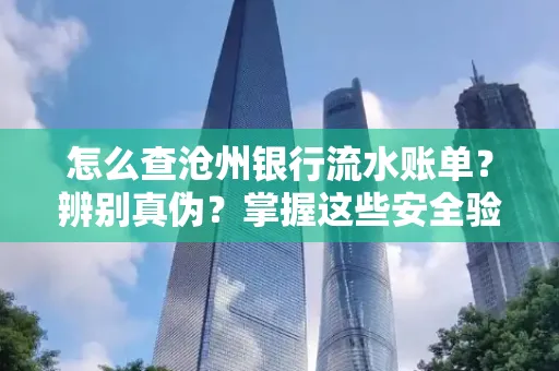 怎么查沧州银行流水账单?辨别真伪?掌握这些安全验证方法