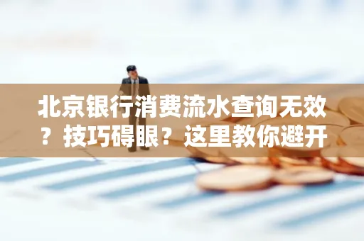 北京银行消费流水查询无效?技巧碍眼?这里教你避开雷区轻松获取!