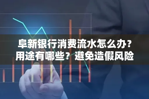 阜新银行消费流水怎么办?用途有哪些?避免造假风险方法