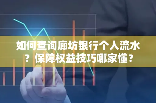 如何查询廊坊银行个人流水?保障权益技巧哪家懂?