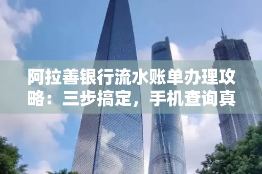 阿拉善银行流水账单办理攻略:三步搞定,手机查询真方便