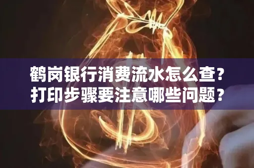 鹤岗银行消费流水怎么查?打印步骤要注意哪些问题?