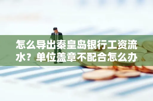 怎么导出秦皇岛银行工资流水?单位盖章不配合怎么办?