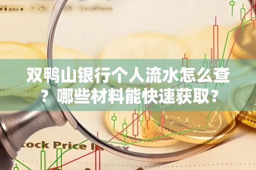双鸭山银行个人流水怎么查?哪些材料能快速获取?