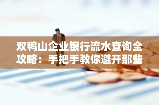 双鸭山企业银行流水查询全攻略:手把手教你避开那些坑