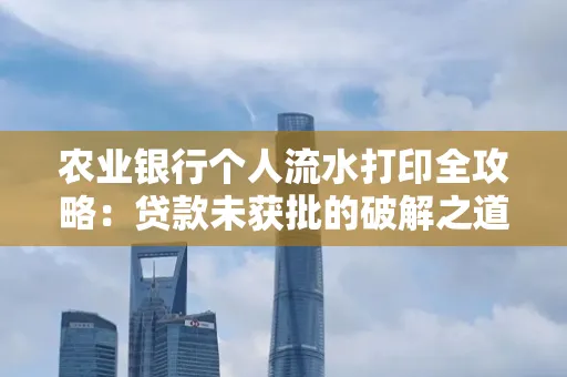 农业银行个人流水打印全攻略:贷款未获批的破解之道
