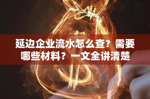 延边企业流水怎么查?需要哪些材料?一文全讲清楚