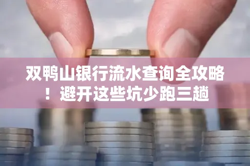 双鸭山银行流水查询全攻略！避开这些坑少跑三趟