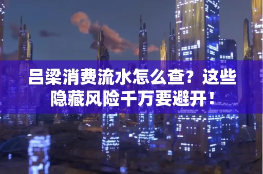 吕梁消费流水怎么查？这些隐藏风险千万要避开！