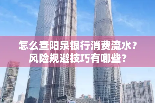 怎么查阳泉银行消费流水?风险规避技巧有哪些?