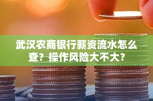 武汉农商银行薪资流水怎么查？操作风险大不大？