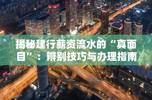 揭秘建行薪资流水的“真面目”：辨别技巧与办理指南大公开