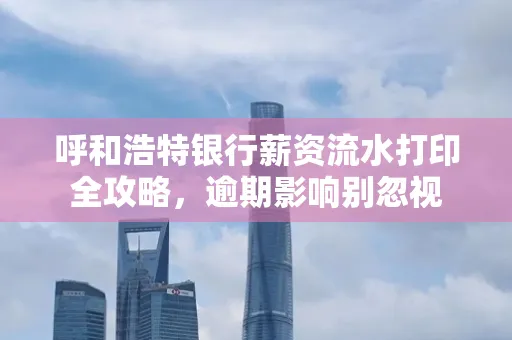 呼和浩特银行薪资流水打印全攻略,逾期影响别忽视