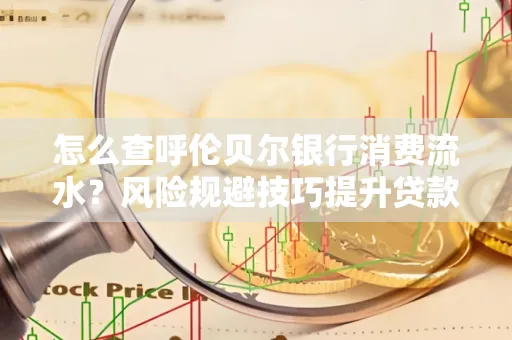 怎么查呼伦贝尔银行消费流水?风险规避技巧提升贷款率?